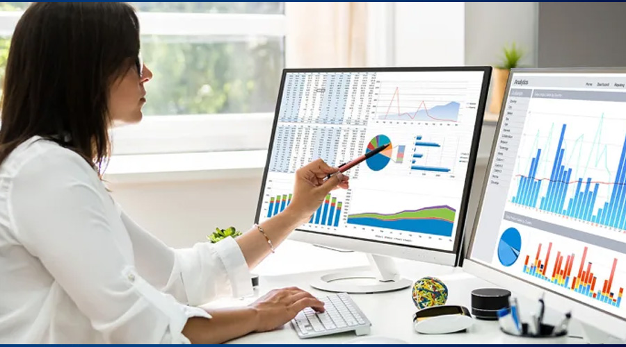 Data Analyst